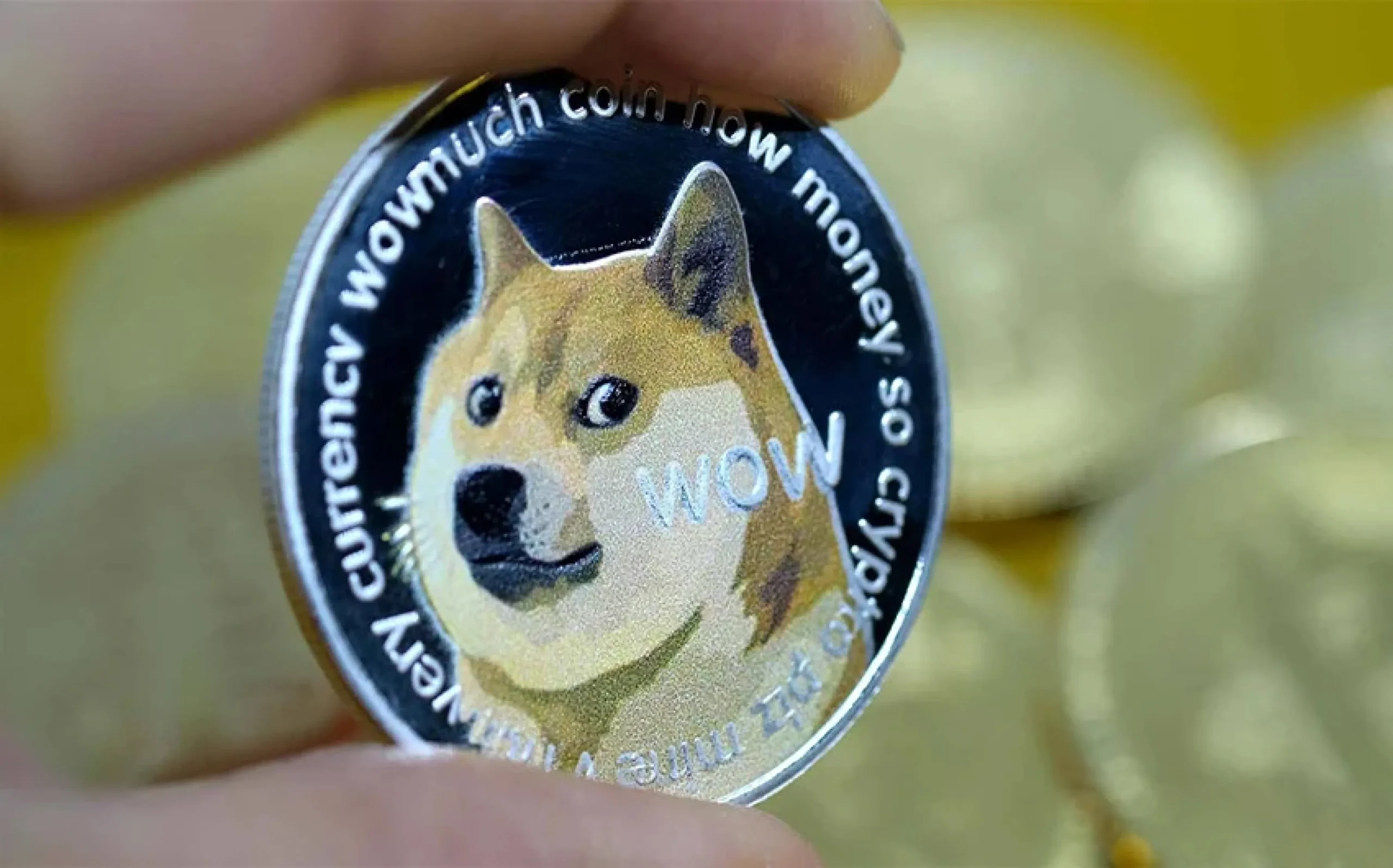 dohecoin 11zon scaled