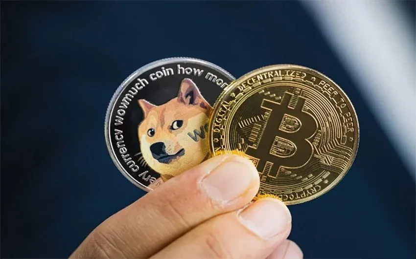 bitcoin and dogecoin 11zon 11zon