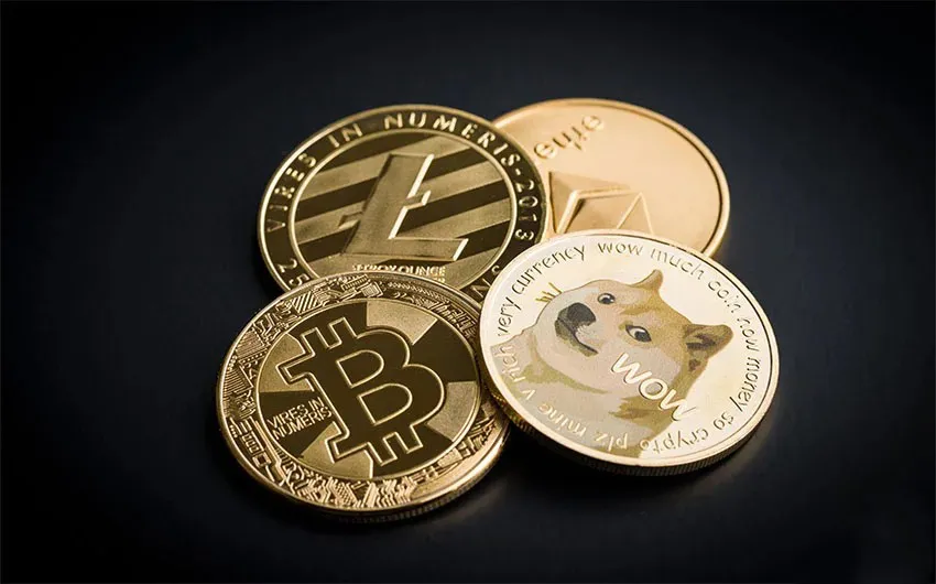 btc and doge 11zon 11zon