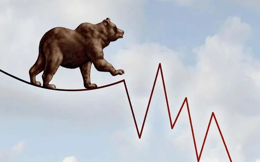 بهترین استراتژی سرمایه گذاری در بازار خرسی یا نزولی 1 Bear Market 11zon 11zon 1
