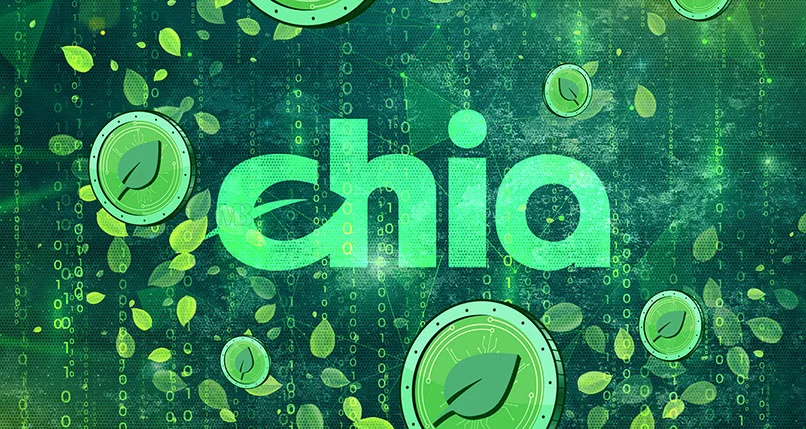 تصویر ارز چیا