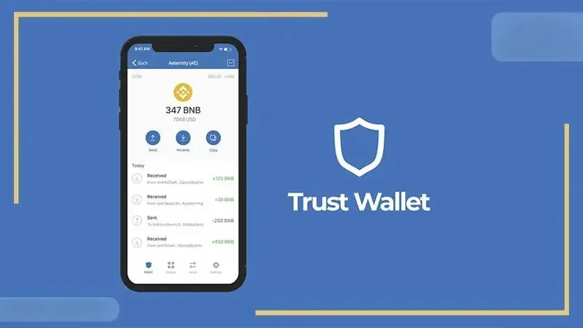 نمایش موجودی تراست ولت