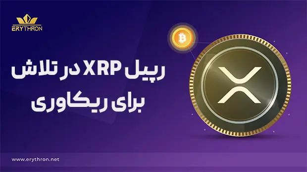 رپیل در تلاش برای ریکاوری