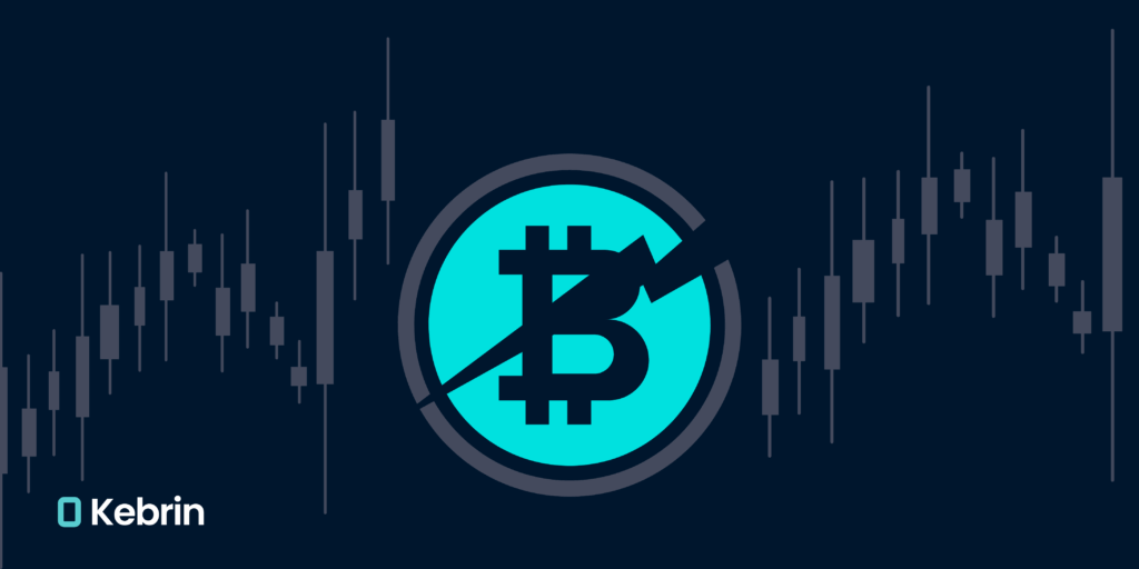 هاوینگ بیت کوین چیست؟