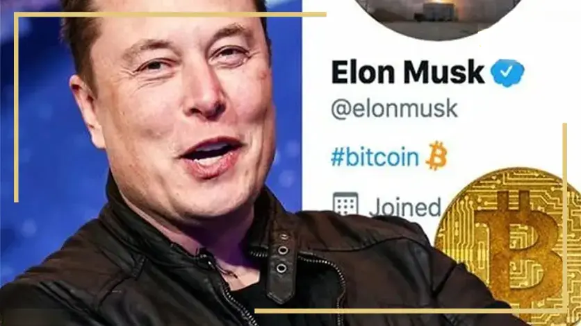 ارزهای دیجیتال حمایت شده توسط ایلان ماسک 4 elon musk ai 3
