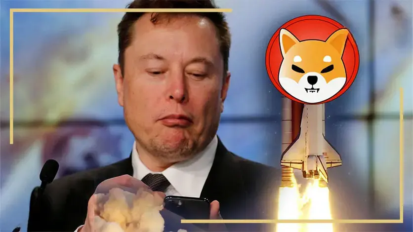 ارزهای دیجیتال حمایت شده توسط ایلان ماسک 6 elon musk shiba 6