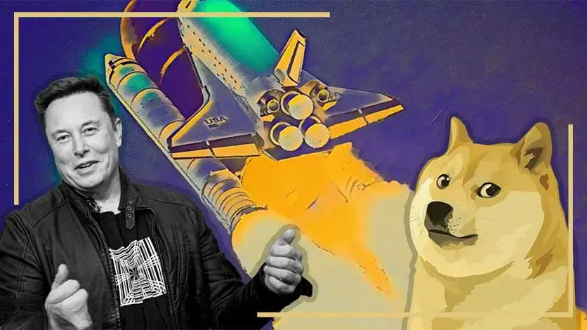 ارزهای دیجیتال حمایت شده توسط ایلان ماسک 2 elonmusk doge coin 4