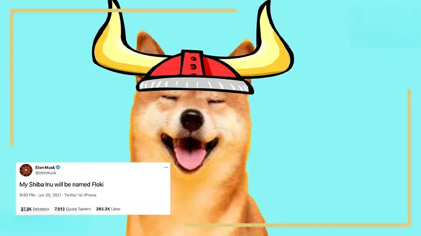 ارزهای دیجیتال حمایت شده توسط ایلان ماسک 5 elonmusk tweet floki 5