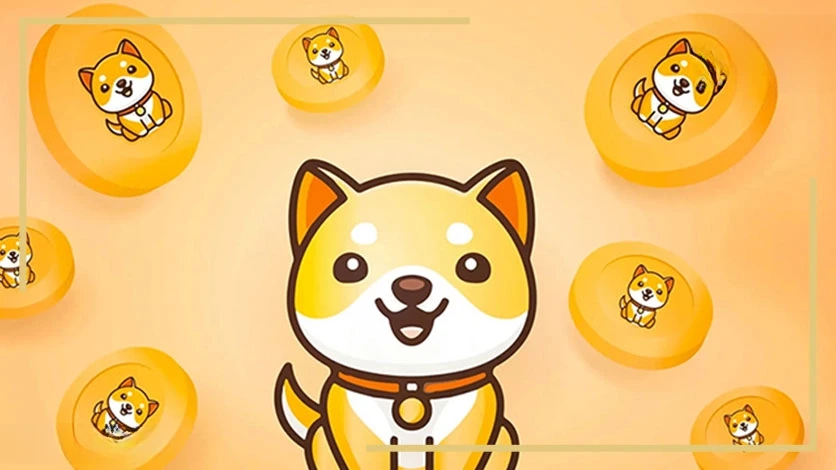 Baby Doge Coin 1