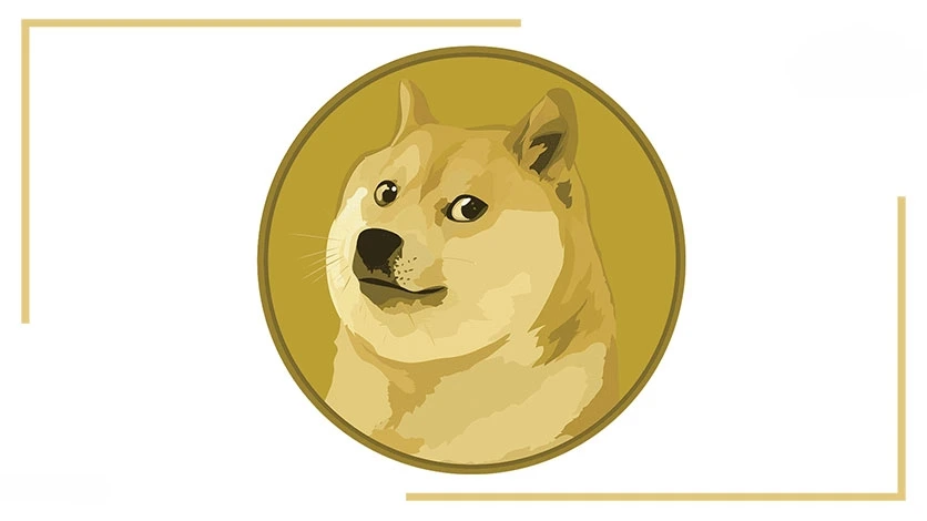 Doge Coin 1