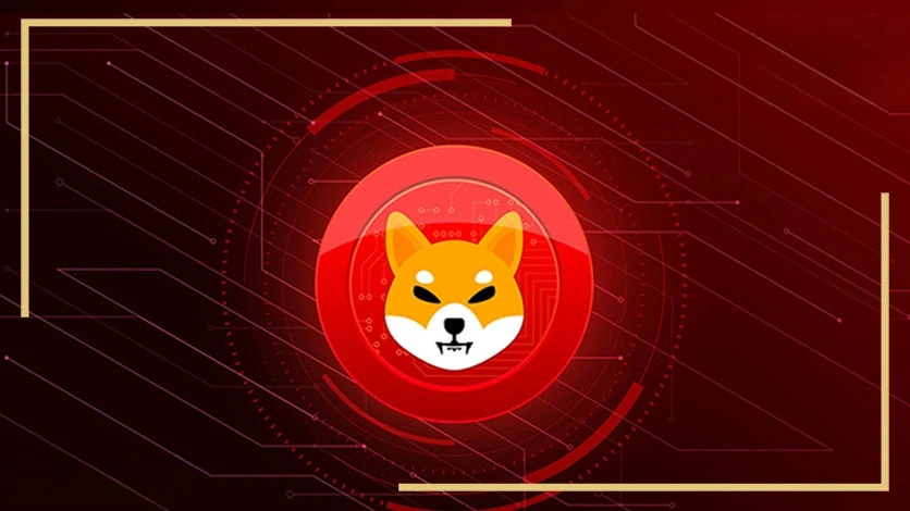 Shiba Inu 1