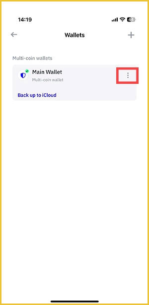 تنظیمات بیشتر در main wallet