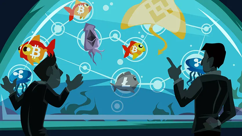 رویداد ama در ارز دیجیتال چیست؟ 1 برگزاری جلسات AMA در ارز دیجیتال
