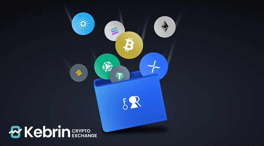 چگونه ارز دیجیتال بخریم و بفروشیم؟ 3 کیف پول ارز دیجیتال