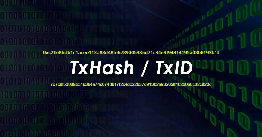TXID تراکنش چیست 