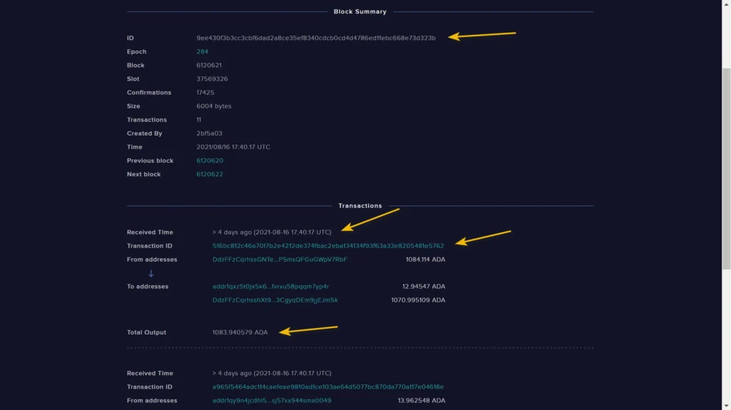 آموزش پیگیری تراکنش در Explorer.Cardano.org1