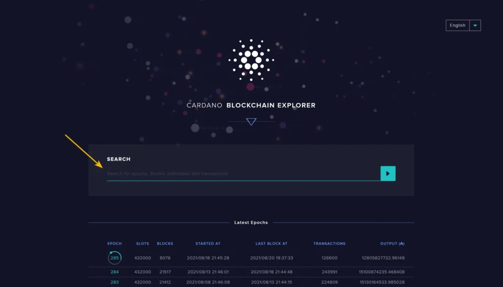 آموزش پیگیری تراکنش در Explorer.Cardano.org