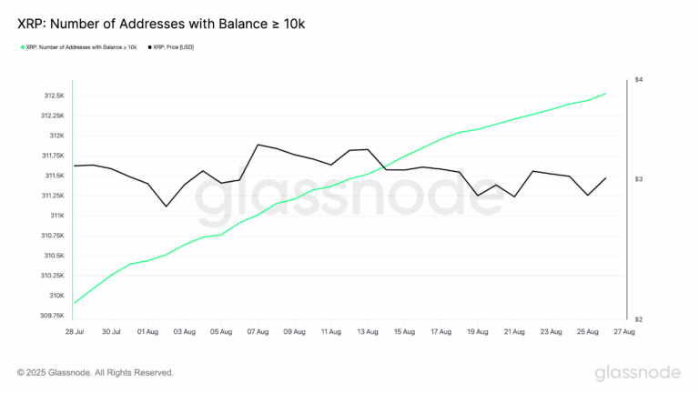 XRP؛ آماده جهش تا ۴ دلار؟