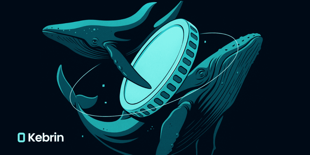 نهنگ‌های کریپتو در زمان افت بازار سرمایه خود را به کجا می‌برند؟