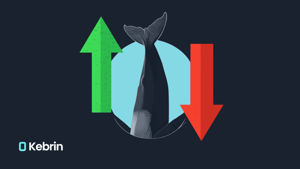نهنگ های کریپتو آماده بازگشت بیت‌کوین به بالای 100,000 دلار هستند؟