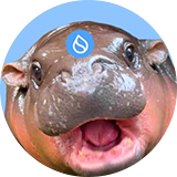 hippo